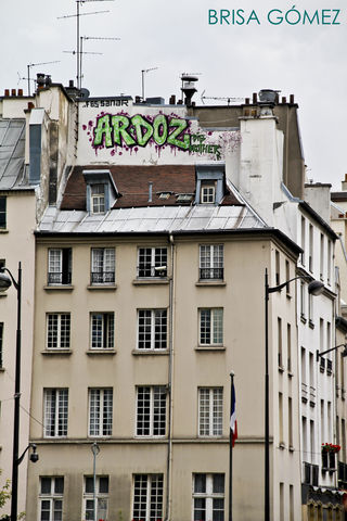 © Brisa Gómez 
(Paris)