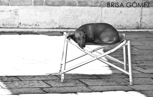 © Brisa Gómez 
(Venecia)