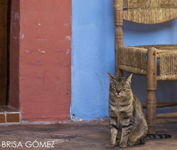 © Brisa Gómez 
(Rancho) Polotitlán